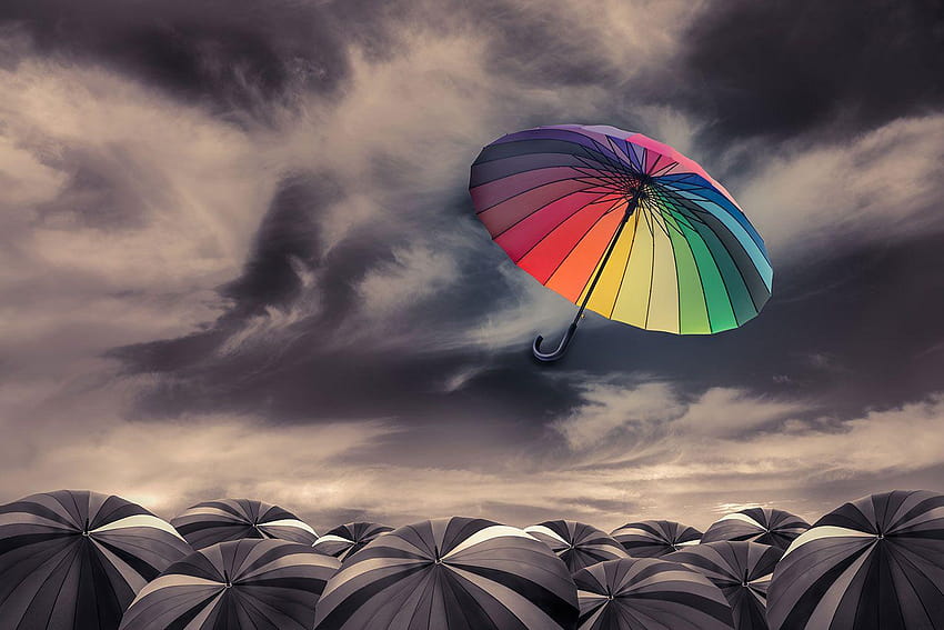 Order Coloured Umbrella to create fantastic wall decor in, fantastic parachute HD wallpaper