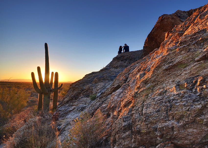 Saguaro National Park HD wallpaper | Pxfuel