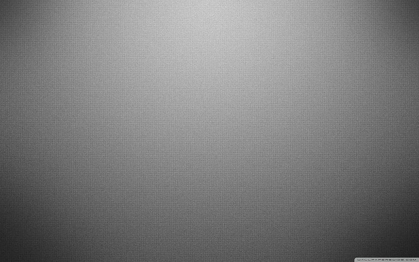 Gray, light grey aesthetic HD wallpaper