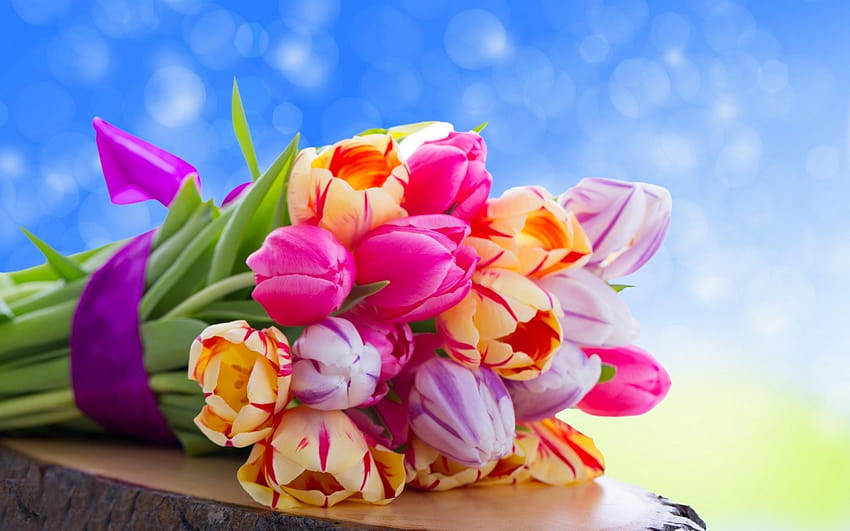 Page 2 | beautiful flowers colourful flowers HD wallpapers | Pxfuel