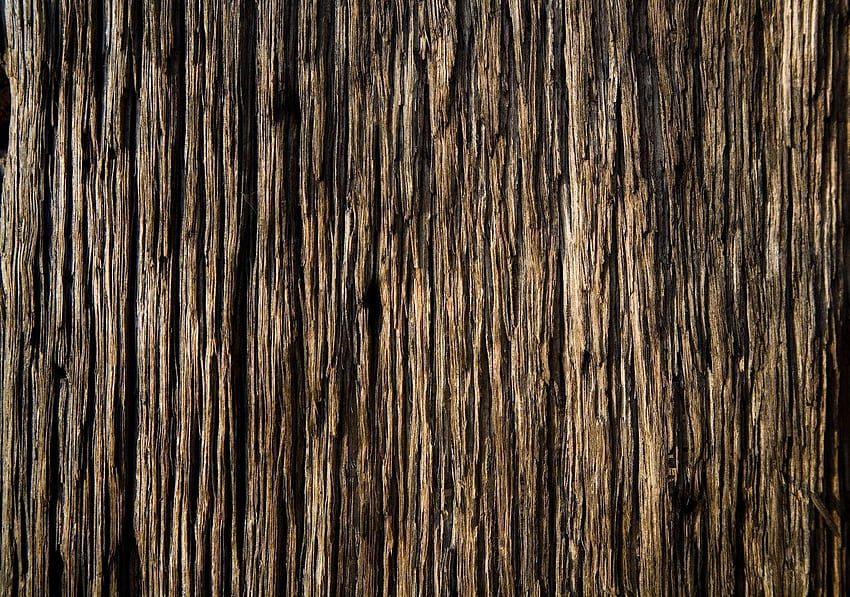 Wood Textured Group, trending HD wallpaper
