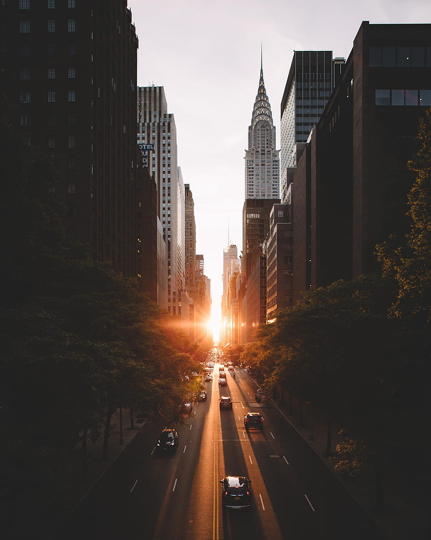 City buildings, cityscape, sunrise, New York City, Chrysler Building, spring new york phone HD phone wallpaper