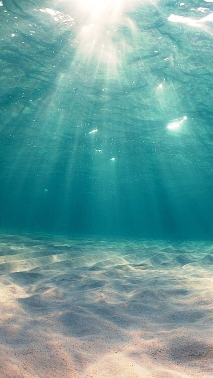 Pod powierzchnią morza, wewnątrz oceanu Tapeta na telefon HD
