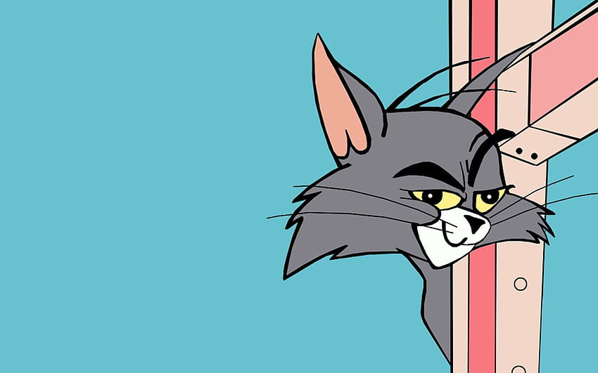 Tom e Jerry Tom Faccia, tom e jerry divertenti Sfondo HD
