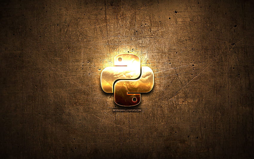 Goldenes Python-Logo, Programmiersprache, brauner Metallhintergrund, kreativ, Python-Logo, Zeichen der Programmiersprache, Python mit einer Auflösung von 2880 x 1800. Hohe Qualität HD-Hintergrundbild