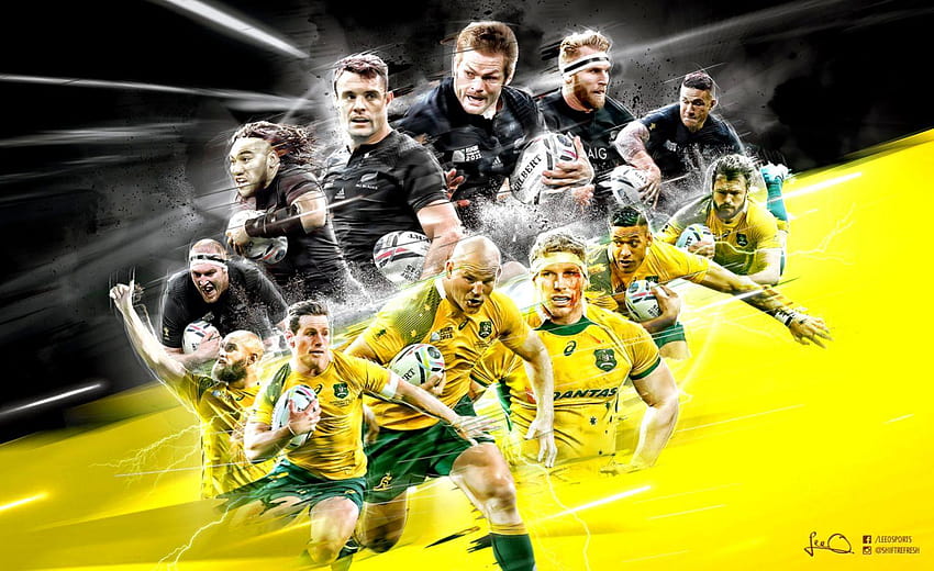 Wallabies, 2019 rugby world cup HD wallpaper