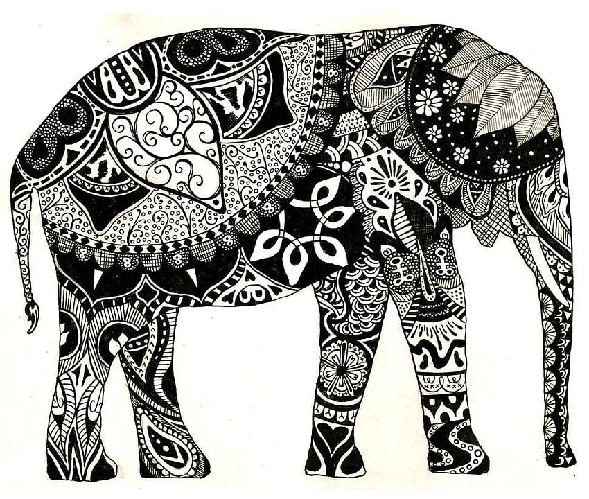 elephant shared by Mafer, zentangle elephants HD wallpaper