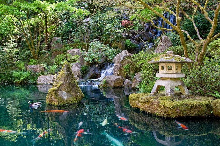 日本庭園 鯉の池、日本の水の庭 高画質の壁紙
