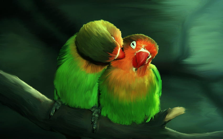 18 Beautiful Birds, love birds HD wallpaper