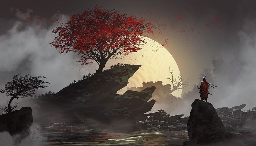 samuraj, księżyc, drzewo, sylwetka Tapeta HD