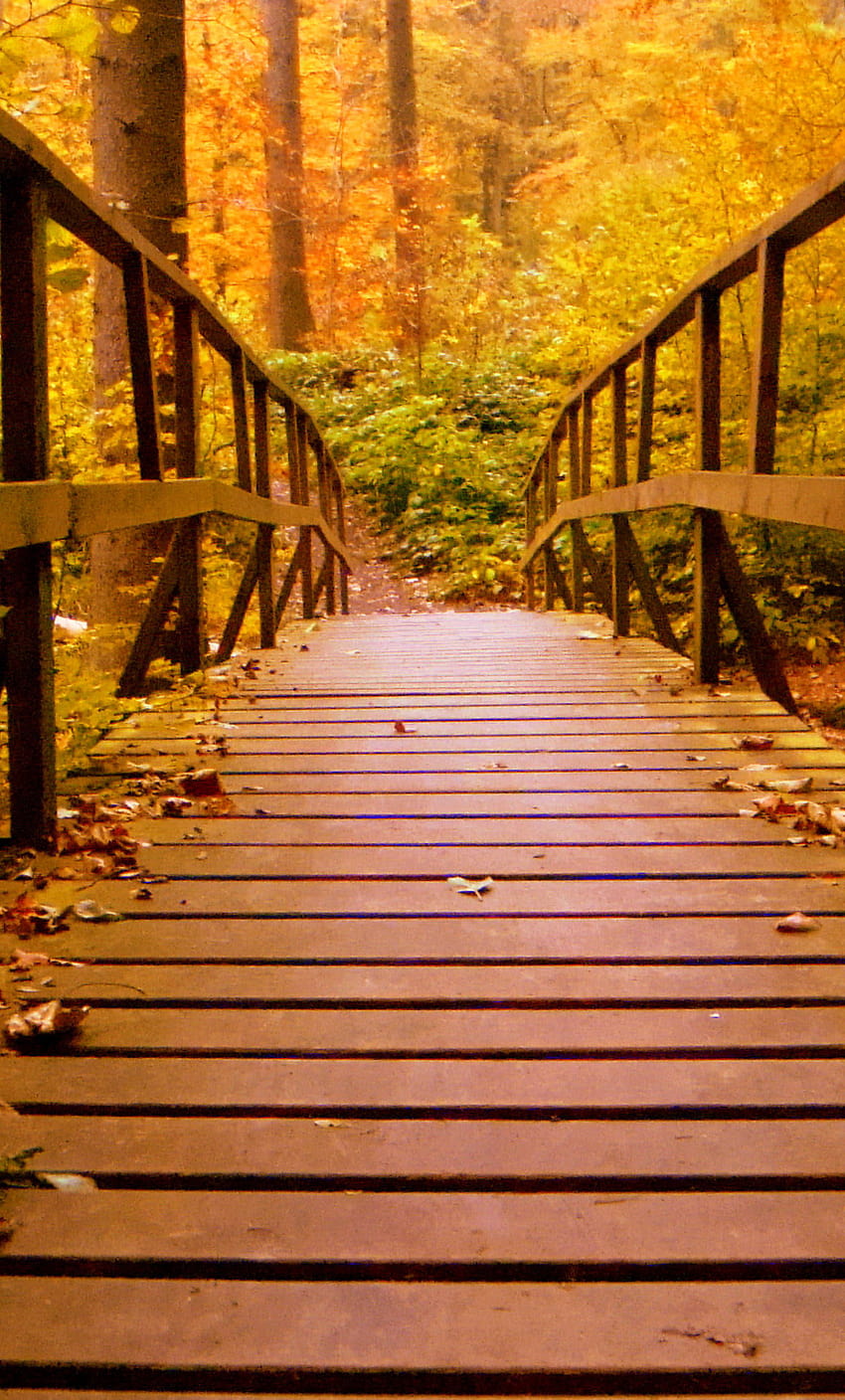 1280x2120 Wooden Bridge Forest Autumn Leaves iPhone , Backgrounds, and, autumn wooden HD phone wallpaper