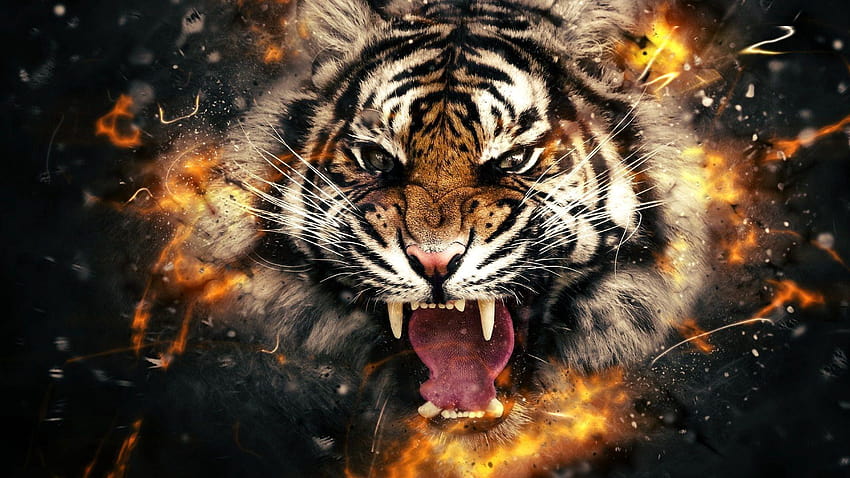 Wallpaper Tiger, face, darkness 2560x1600 HD Picture, Image