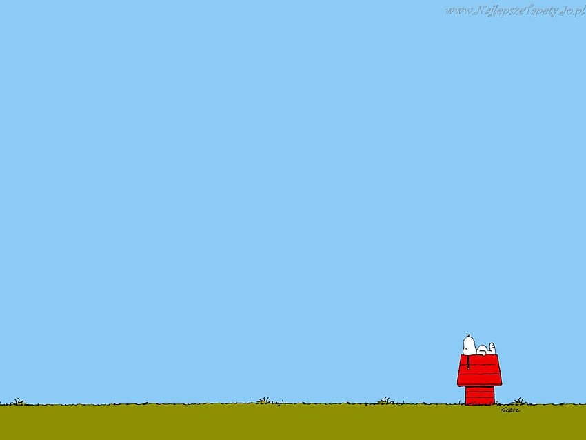 Peanuts Snoopy und Hintergründe HD-Hintergrundbild