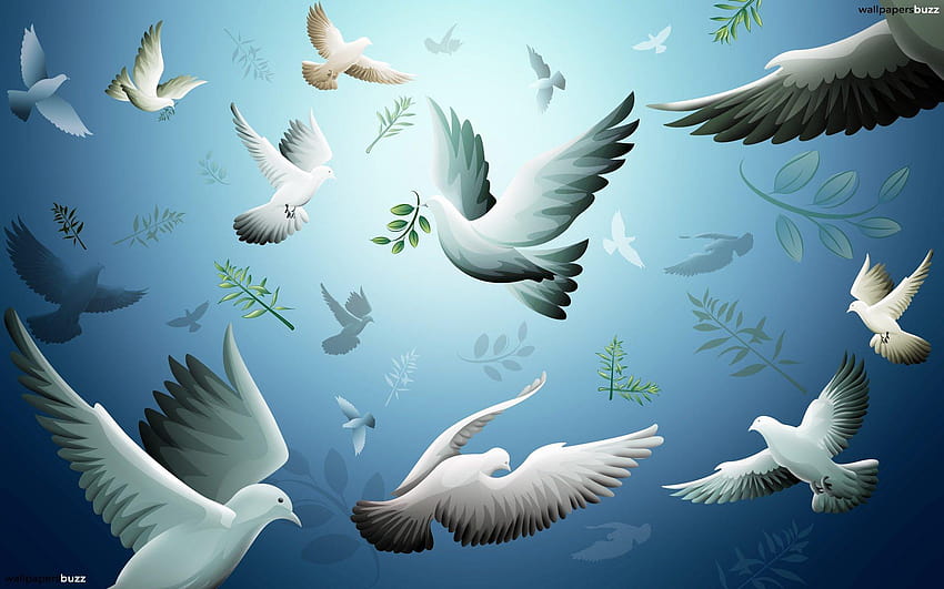 A flock of white doves HD wallpaper