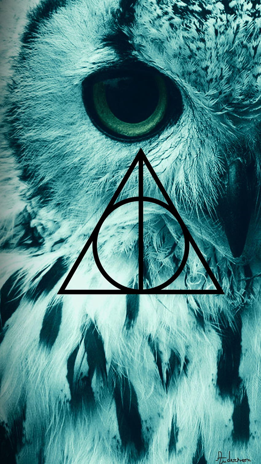 Edwiges, Harry Potter, harry potter dobby HD phone wallpaper