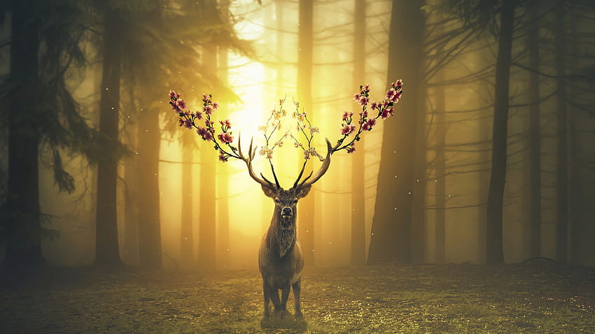 1600x900 Deer, Flowers, Horns, Forest, Autumn, Surrealism, deer antlers with flowers HD wallpaper