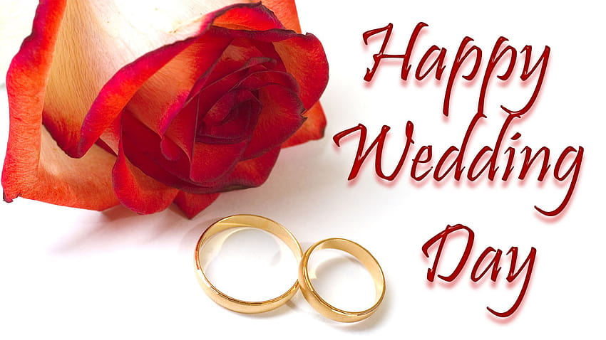 20 Beautiful with wishes Happy Wedding Day HD wallpaper  Pxfuel