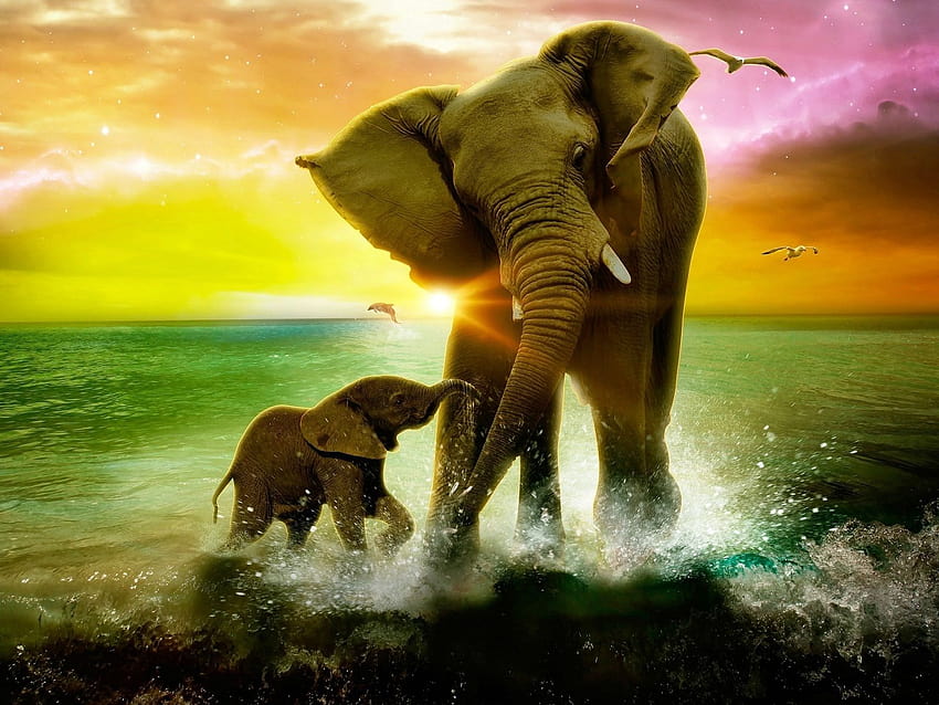 Beautiful love between mother and son elephant HD wallpaper