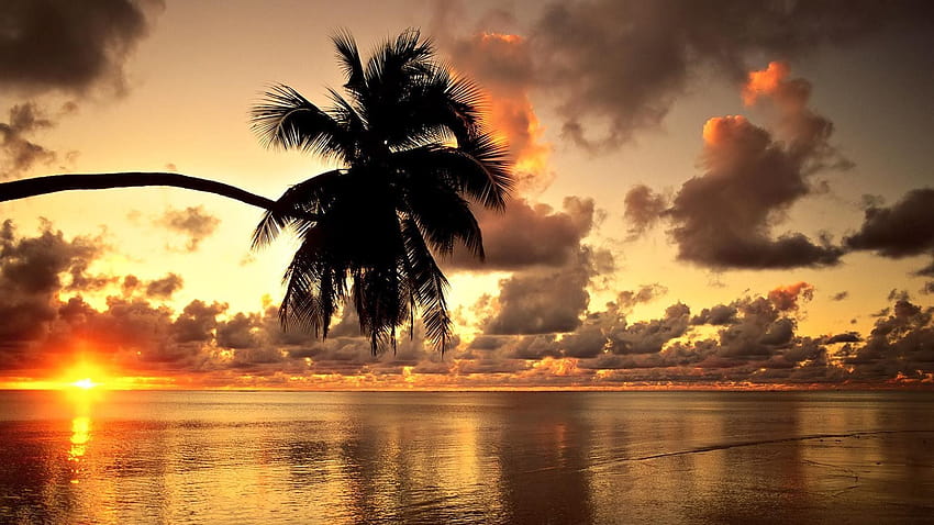 Beach, hawaiian sunset HD wallpaper