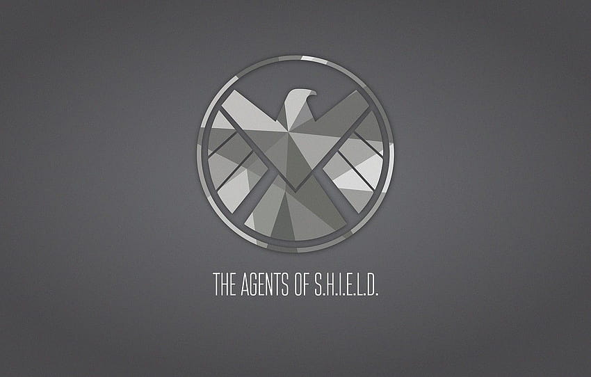 Marvel, Nick Fury, Nick Fury, Agents of Shield, SHIELD, shield hydra ajanları HD duvar kağıdı