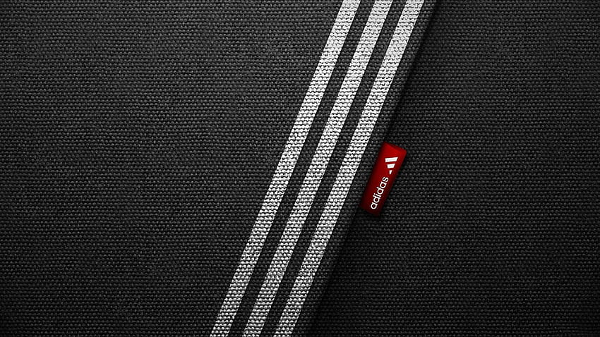 1920x1080 adidas, brand, logo, people, sports HD wallpaper