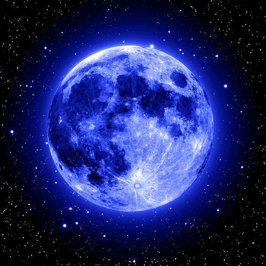 Blue Moon iPhone on Dog HD phone wallpaper