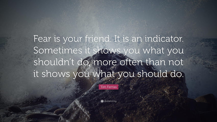 Tim Ferriss Quote: “Fear is your friend. It is an indicator HD wallpaper