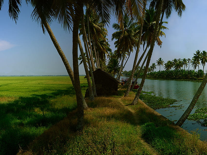 Turismo Responsável, Modelo Kumarakom, Backwaters, Kerala, Índia, cultura Kerala papel de parede HD