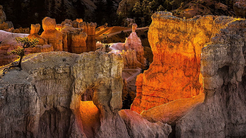 Ultra Bryce canyon , Backgrounds HD wallpaper