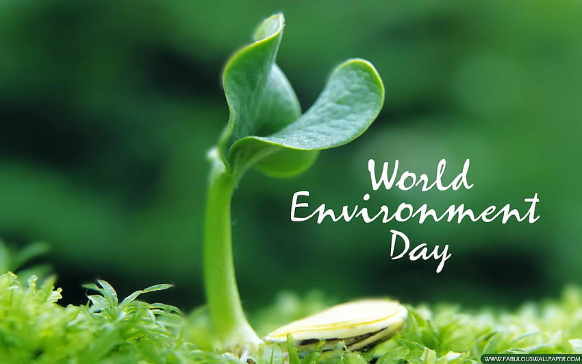 Do We Really Care and Save Environment: Journée mondiale de l'environnement, journée mondiale de la course à pied Fond d'écran HD