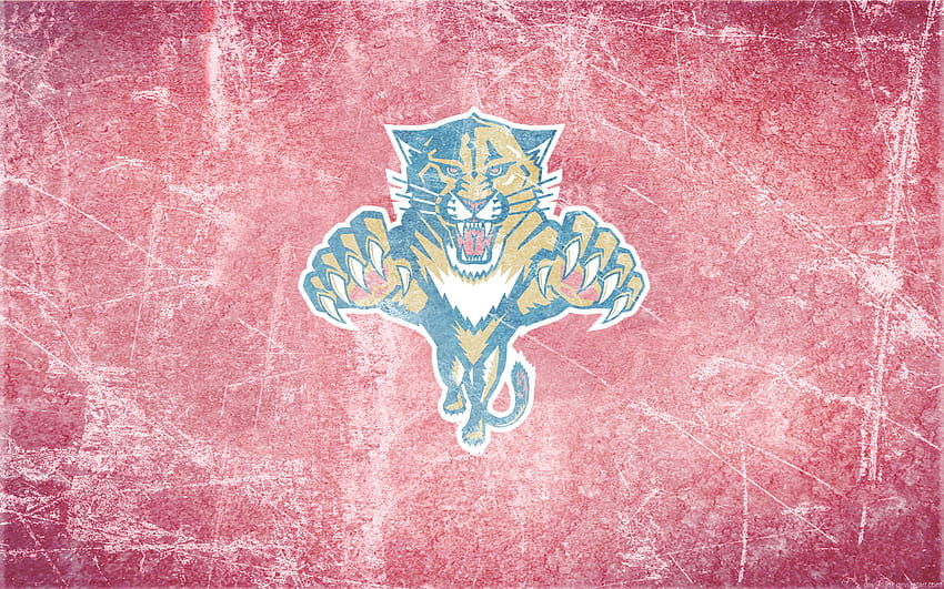 Incredible , 28 Florida Panthers HD wallpaper | Pxfuel