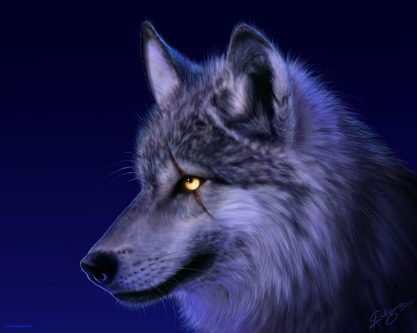 big wolf HD wallpaper
