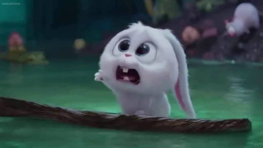 The Secret Life of Pets, snowball rabbit HD wallpaper