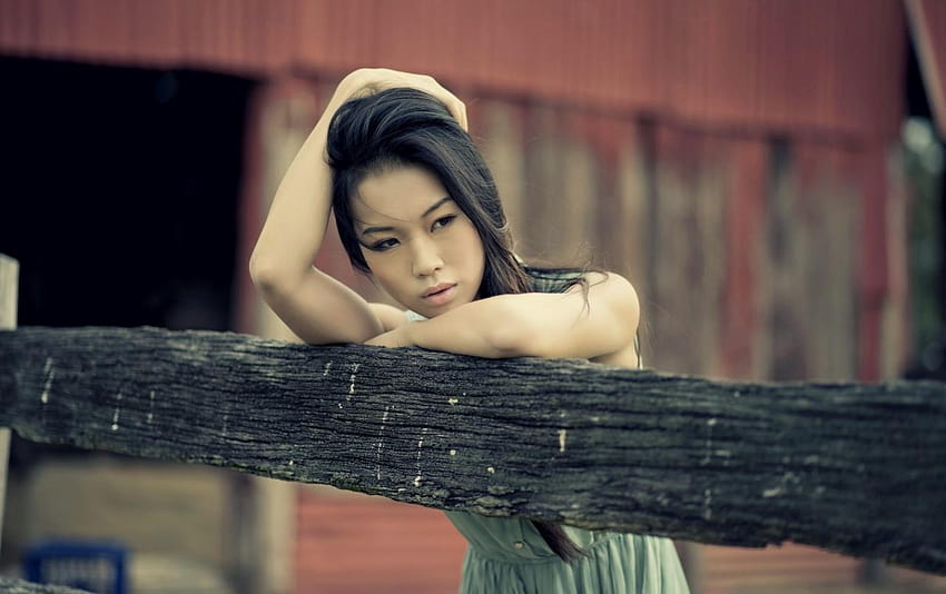 Gorgeous Asian Model Posing, beautiful asian woman HD wallpaper