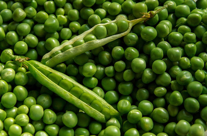 3055745 / agriculture, background, farming, food, fresh, green, growth, natural, nutrition, organic, peas, seed, textures, vegetables, veggies, green peas HD wallpaper
