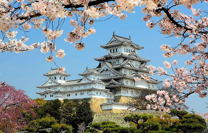 Spring, Japan, Flowering, Himeji Castle, castle spring HD wallpaper