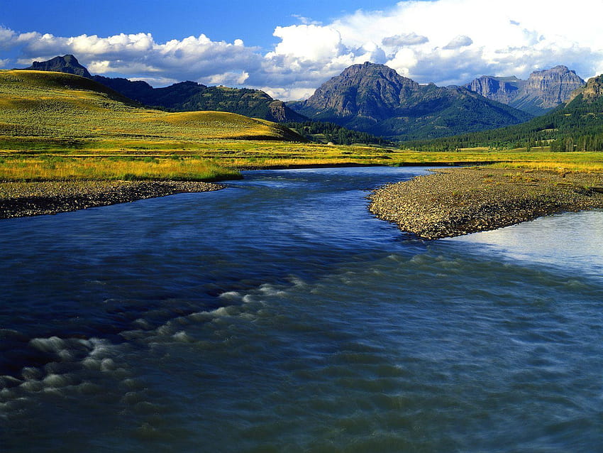 Yellow FD: THE YELLOW WORLD OF FASHION 2, yellowstone national park HD wallpaper