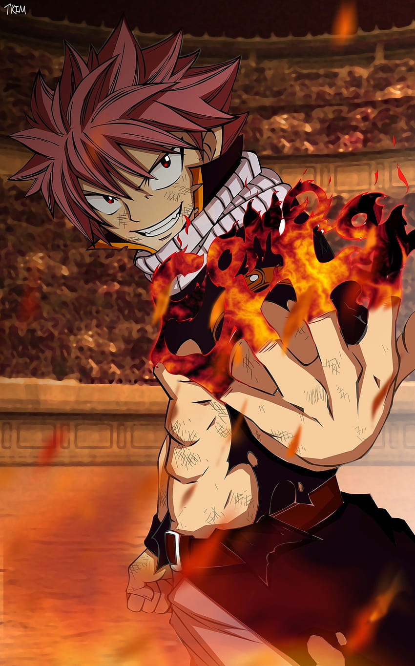 2560x1920 fighter fire pink hair red, boy anime red HD phone wallpaper