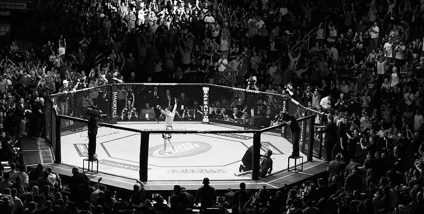UFC mixed martial arts mma fight extreme battle battles stadium, mma ufc HD wallpaper