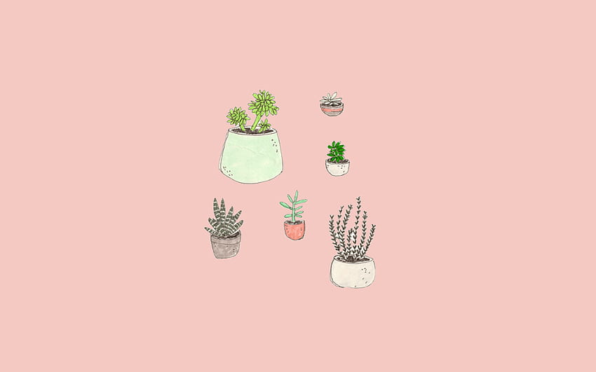 Pastel Pink Aesthetic Computer, rose gold succulent HD wallpaper