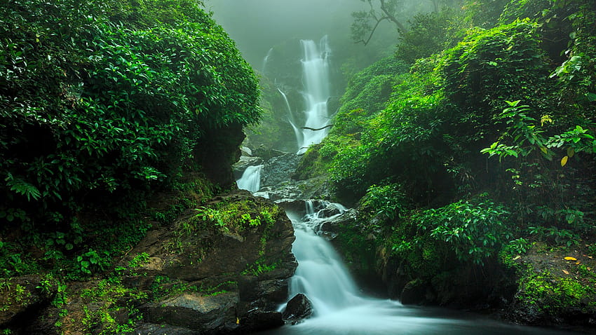 Waterfall in forest, Yanam, India, indian forest HD wallpaper