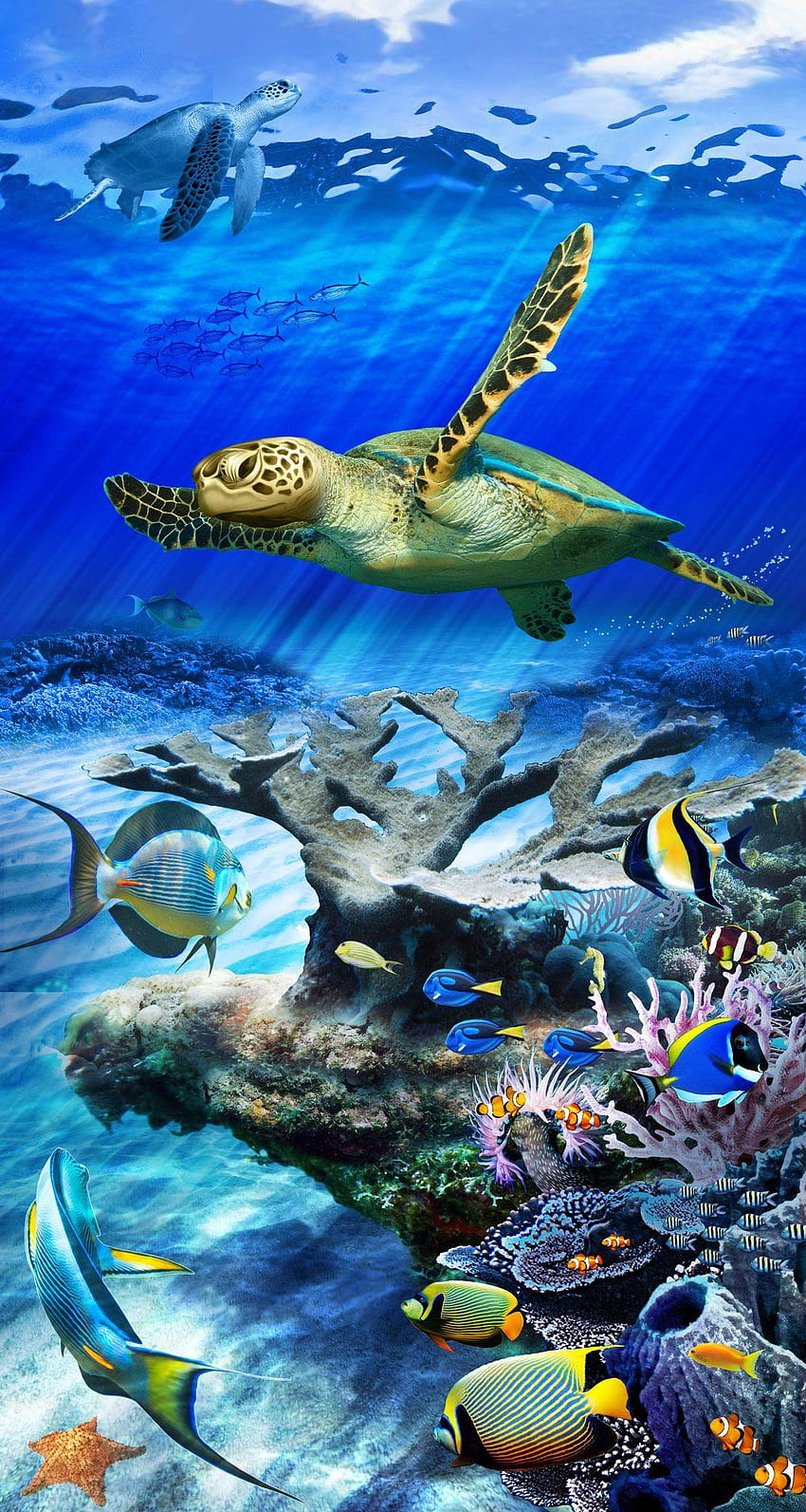 Arte de vidrieras de arrecife de tortuga marina, teléfono de tortuga marina fondo de pantalla del teléfono