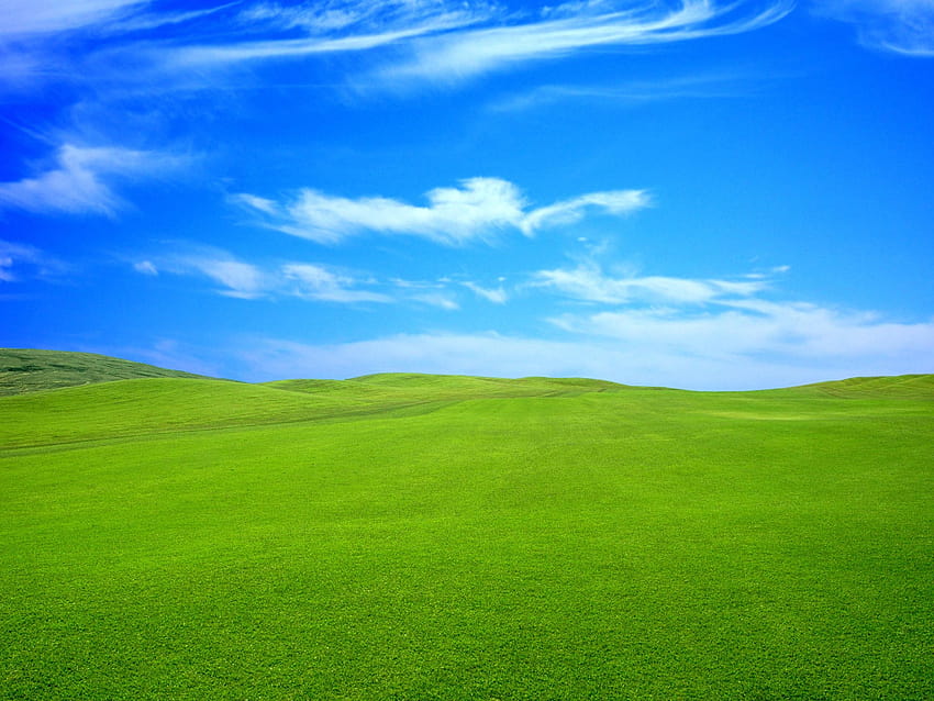 Powiązane błękitne niebo zielona trawa królestwo natury [1920x1440] dla Twojego telefonu komórkowego i tabletu, błękitne i zielone niebo Tapeta HD