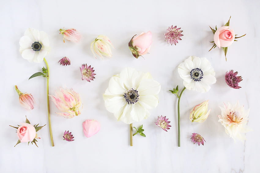 Макбук с цветя, естетичен макбук с пролетни цветя HD тапет
