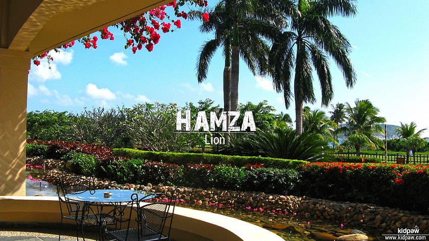 Hamza 3D Name for Mobile, Write حمزہ Name on Online HD wallpaper