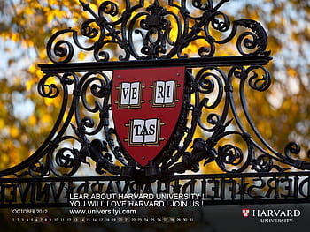 Harvard medical school related keywords HD wallpapers | Pxfuel