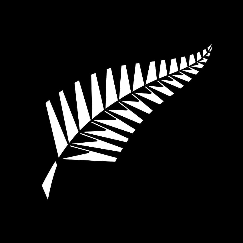 All Blacks de Nouvelle-Zélande, équipe nationale de cricket de Nouvelle-Zélande Fond d'écran de téléphone HD