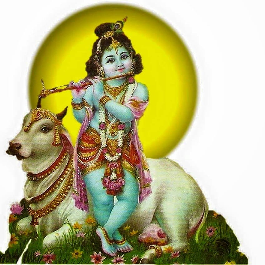 Blog dévotionnel hindou : Krishna Vishu Kani, sreekrishnan Fond d'écran de téléphone HD