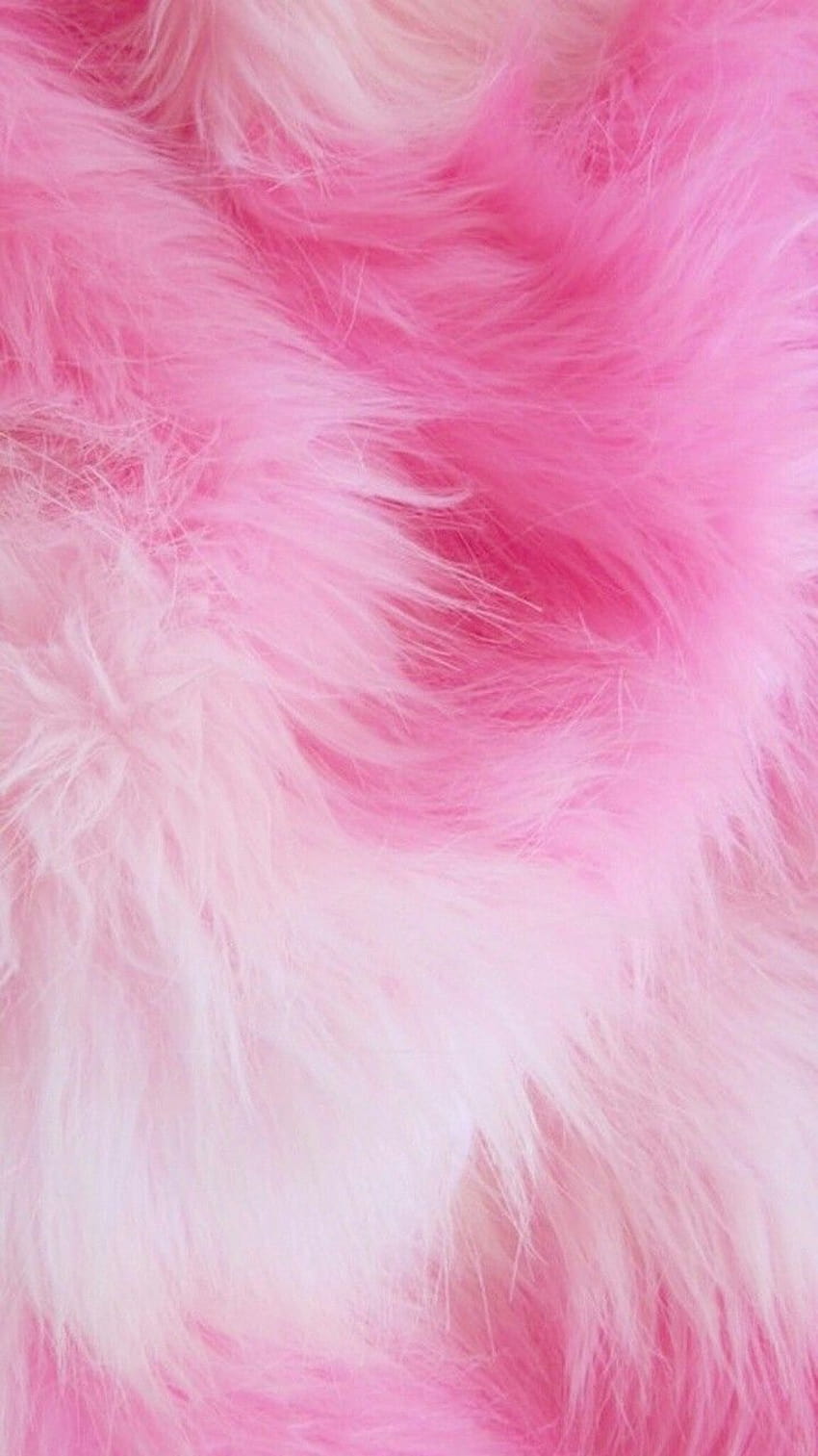 Shades of Pink Fur HD phone wallpaper