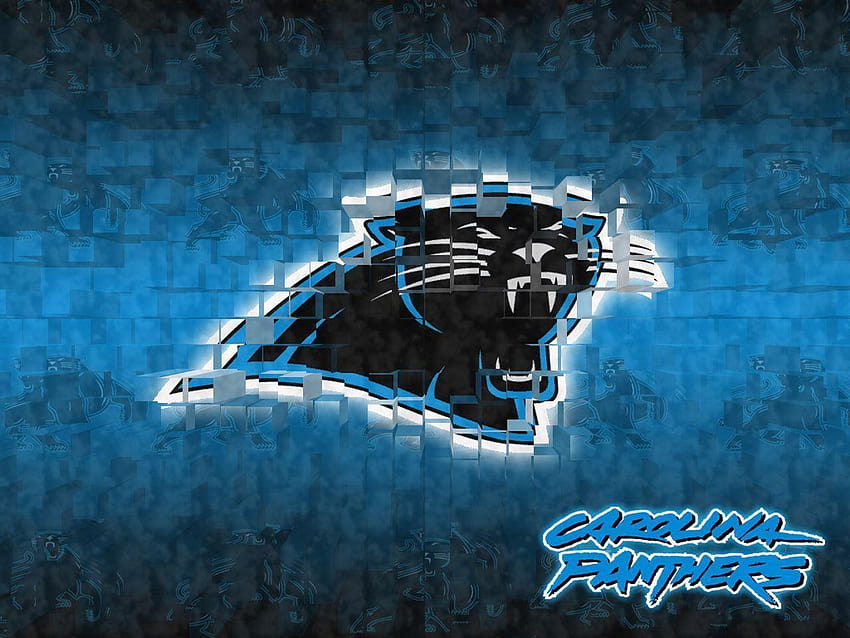 Carolina Panthers ID: 1280×960 Carolina Panthers, nfl carolina panthers HD wallpaper